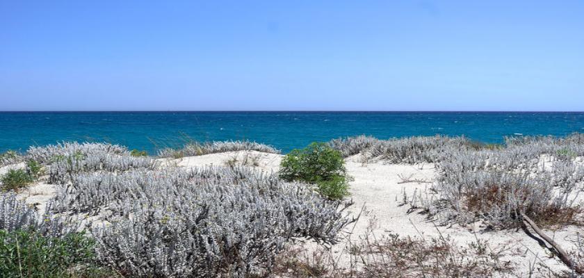 Italia, Calabria - Seaclub Calalandrusa Beach 4