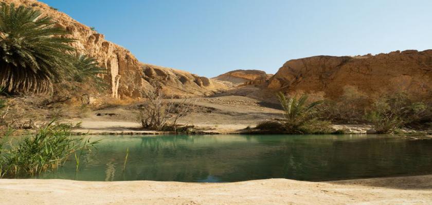 Tunisia, Tunisia - Intour Explore Oasi In 4x4 2