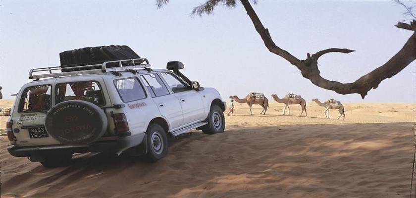 Tunisia, Tunisia - Intour Explore Oasi In 4x4 4