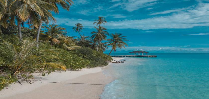Maldive, Atollo di Ari Sud - Fiyavalhu Hotel 2