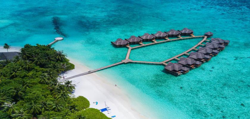 Maldive, Male - Fihalhohi Island Resort 3