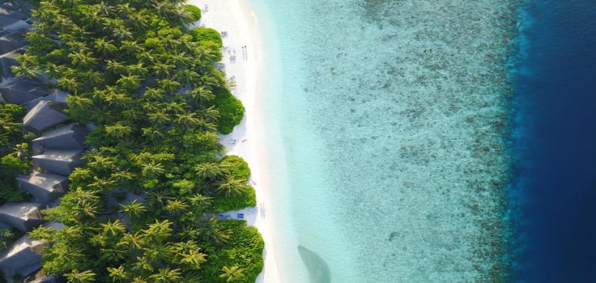 Maldive, Male - Fihalhohi Island Resort 5