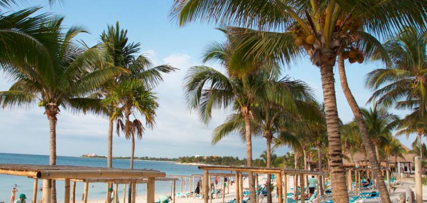 Messico, Akumal - Akumal Bay Beach & Spa Resort 1