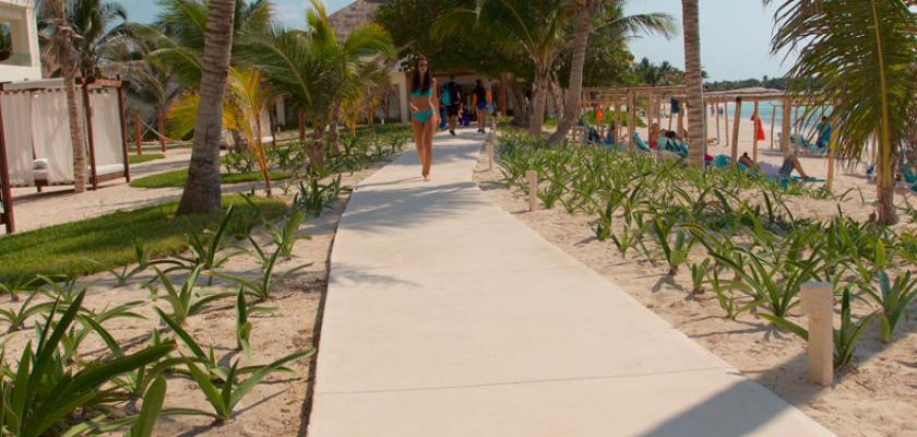 Messico, Akumal - Akumal Bay Beach & Spa Resort 5