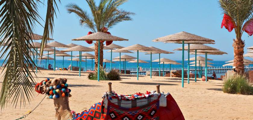 Mar Rosso, Hurghada - Three Corners Sunny Beach Resort 4