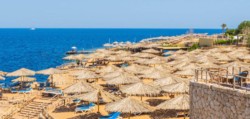 Mar Rosso, El Hadaba - Sharm Reef Resort 0