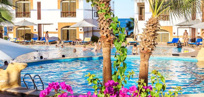 Mar Rosso, El Hadaba - Amphoras Blu Resort 4