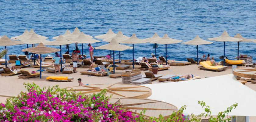 Mar Rosso, El Hadaba - Amphoras Blu Resort 5