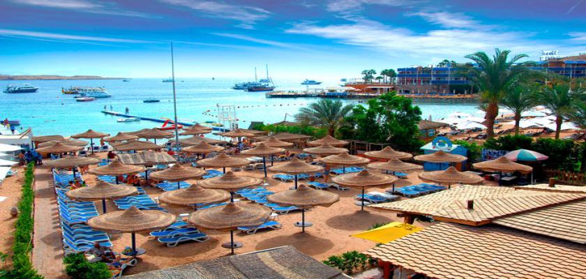 Mar Rosso, Naama Bay - Naama Bay Hotel & Resort 5