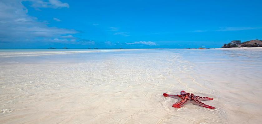Zanzibar, Zanzibar - Coral Reef Beach Resort 1