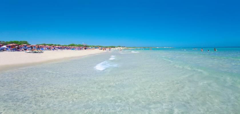 Puglia, Alimini - Alpiselect Koine 0