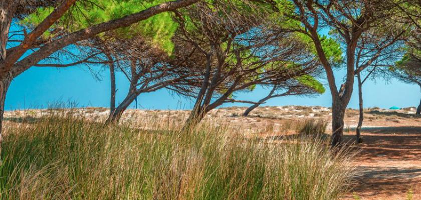 Sardegna, Budoni - Residence Le Dimore Di Budoni 3