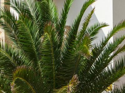 Spagna, Es Calò - Appartamenti Escandell