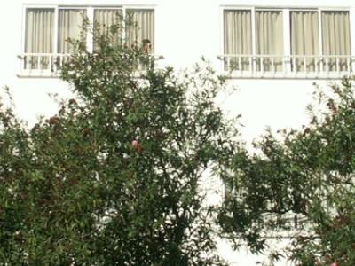 Spagna, Es Pujols - Appartamenti Maria