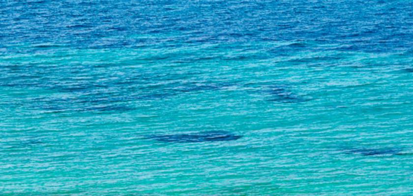 Spagna, Magalluf - Flamboyan Caribe Hotel & Spa 1