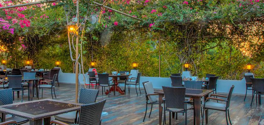 Cipro, Aya Napa - Merit Cyprus Gardens Resort & Casino 3