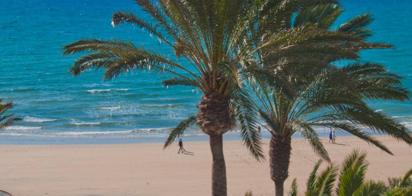 Spagna - Canarie, Fuerteventura - Sbh Costa Calma Beach 3