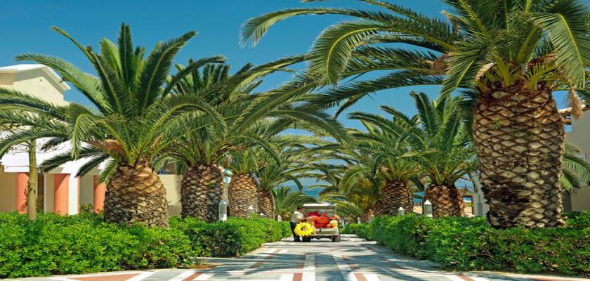 Grecia, Hersonissos - Seaclub Knossos Royal 1