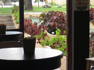 Spagna, Playa del Inglés - Hotel E App. Jardin Del Atlantico