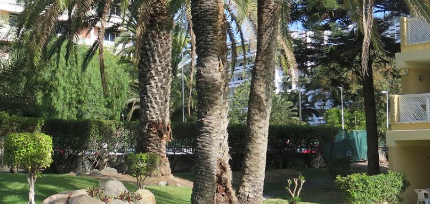 Spagna - Canarie, Gran Canaria - Hotel E App. Jardin Del Atlantico 3