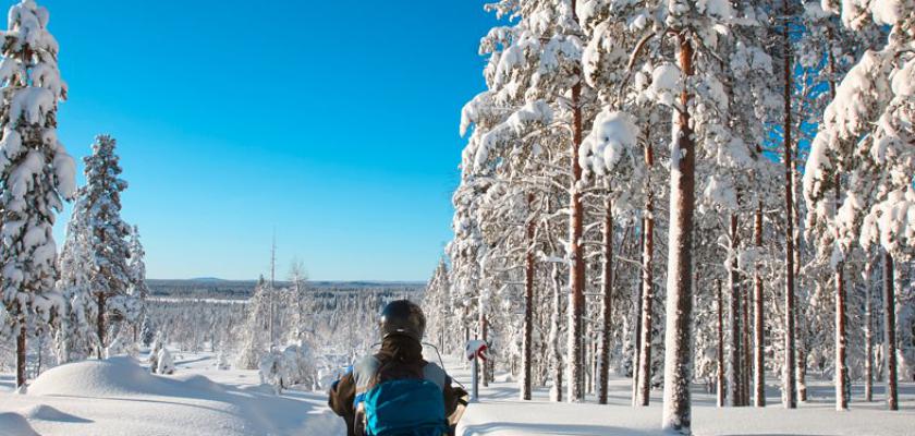 Finlandia, Rovaniemi - Incantesimo Lappone Life 5