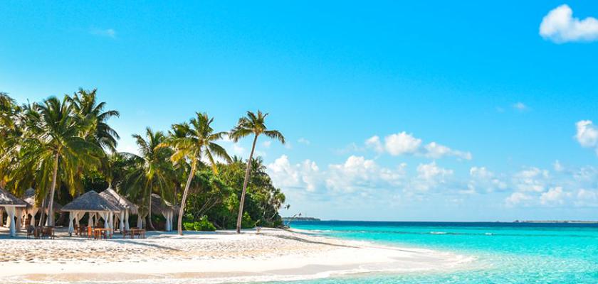 Maldive, Atollo di Raa - Reethi Faru Resort 5