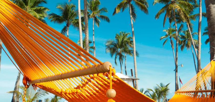 Repubblica Dominicana, Las Terrenas - Viva V Samana By Wyndham 4