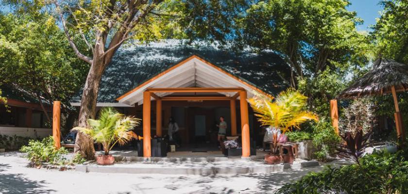 Maldive, Male - Eriyadu Island Resort 4