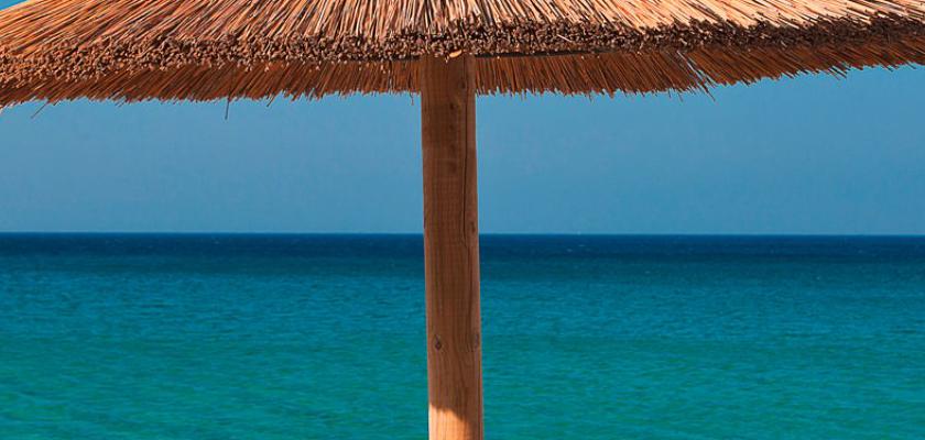 Grecia, Elia - Royal Myconian 3