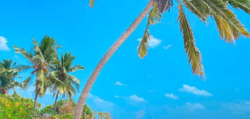 Maldive, Atollo di Ari Sud - Guesthouse Diffusa A Hangnaameedhoo 2