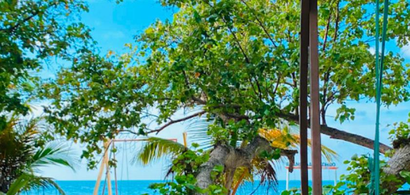 Maldive, Atollo di Ari Sud - Guesthouse Diffusa A Hangnaameedhoo 3