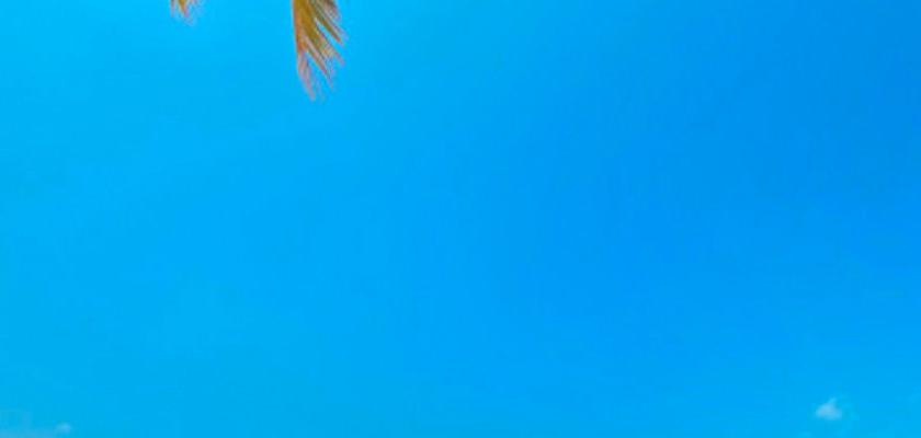 Maldive, Atollo di Ari Sud - Guesthouse Diffusa A Hangnaameedhoo 4