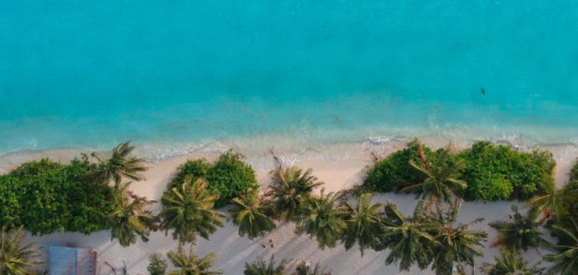 Maldive, Atollo di Ari Nord - Guesthouse Diffusa A Thoddoo 1