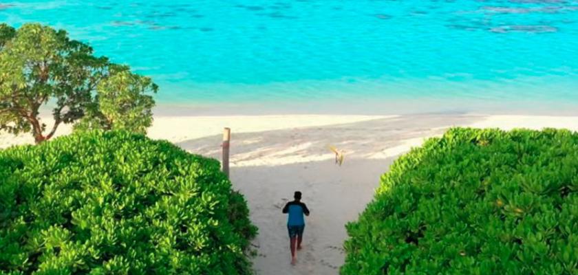 Maldive, Male - Guesthouse Diffusa A Thoddoo 3