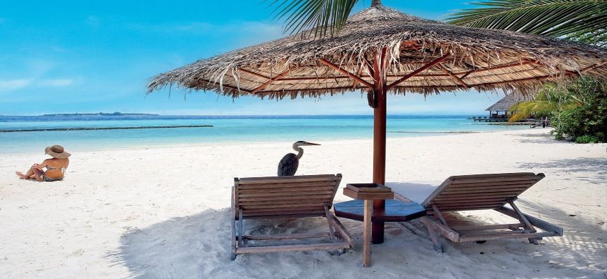 Maldive, Male - Gangehi Island Resort & Spa 11