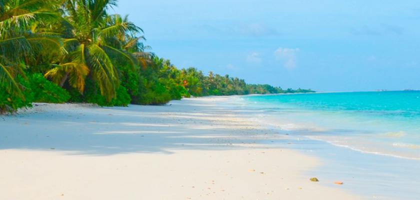 Maldive, Atollo di Ari Sud - Tme Retreats Hotel 5