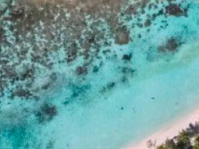 Maldive, Male - Roulette Omadhoo