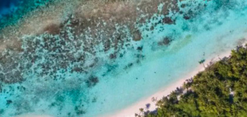 Maldive, Male - Guesthouse Diffusa A Omadhoo 0