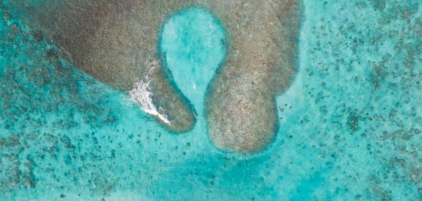 Maldive, Atollo di Ari Sud - Guesthouse Diffusa A Omadhoo 1