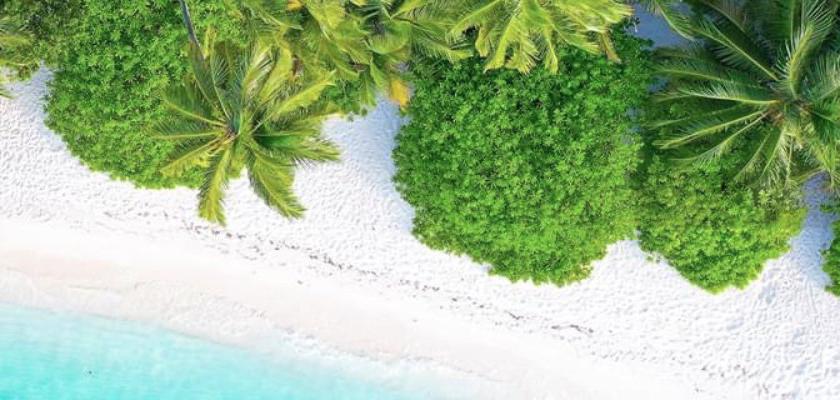 Maldive, Atollo di Ari Nord - Tranquila Guesthouse Maldives 1