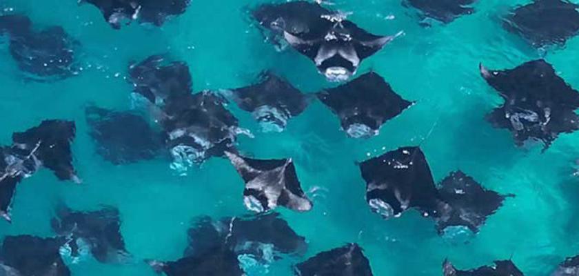 Maldive, Atollo di Baa - Kamadhoo Inn Guesthouse 0
