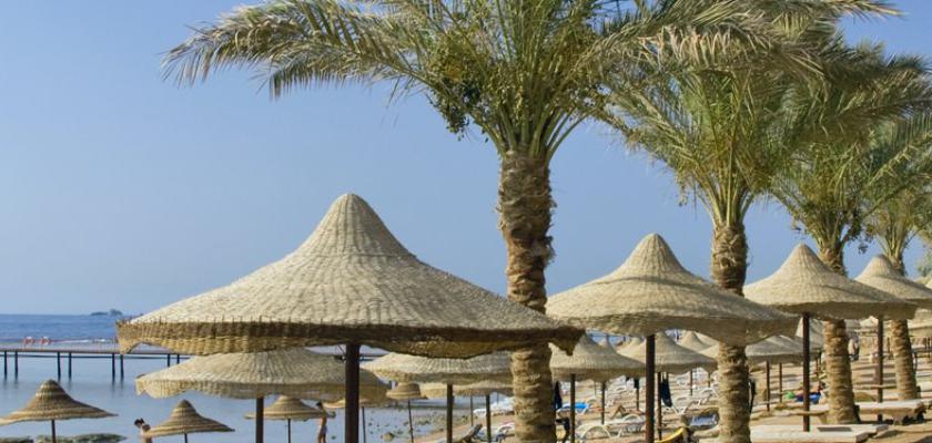 Mar Rosso, Sharm El Sheikh - Bravo Premium Tamra Beach 4