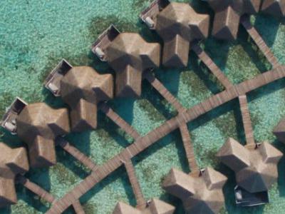 Maldive, Atollo di Ari Sud - Drift Thelu Veliga Retreat