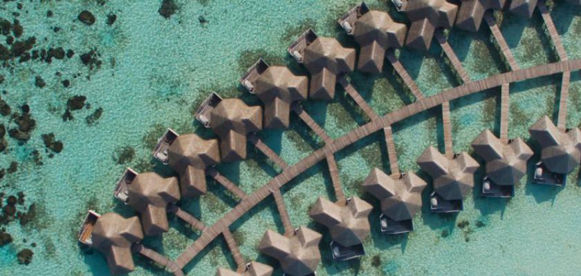 Maldive, Atollo di Ari Sud - Drift Thelu Veliga Retreat 0