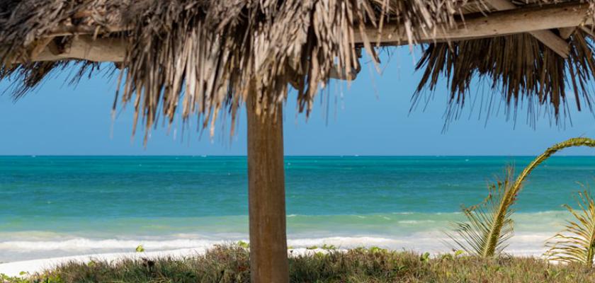Zanzibar, Zanzibar - Hakuna Majiwe Beach Lodge 1