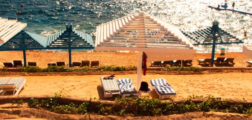 Mar Rosso, Shark Bay - Grand Oasis Beach Resort 3