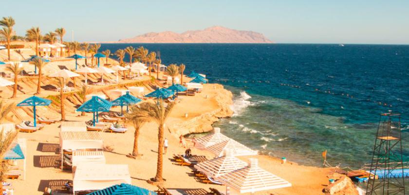 Mar Rosso, Shark Bay - Grand Oasis Beach Resort 5