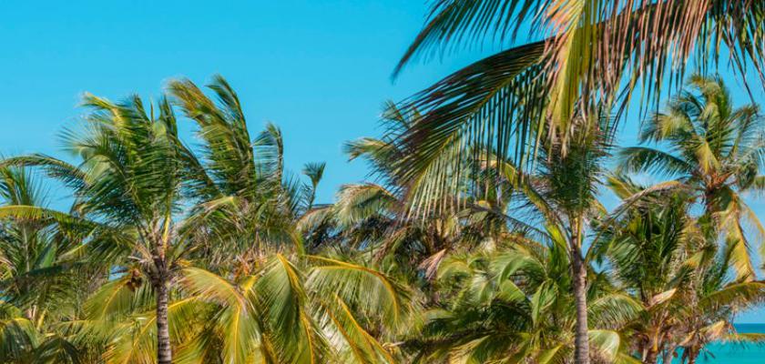 Kenya, Watamu - Jumbo Resort 2