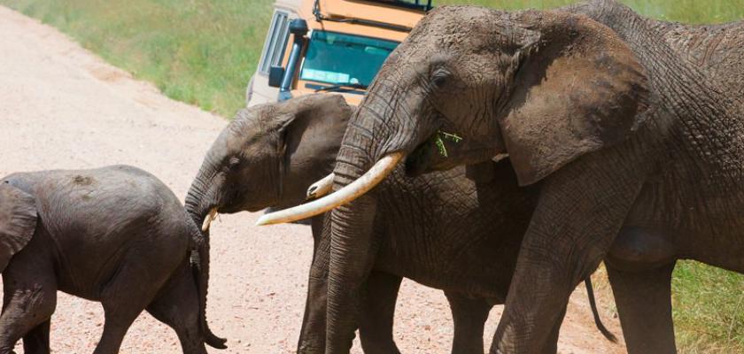 Tour Guidati, Sud Africa - Voyager South Africa 2