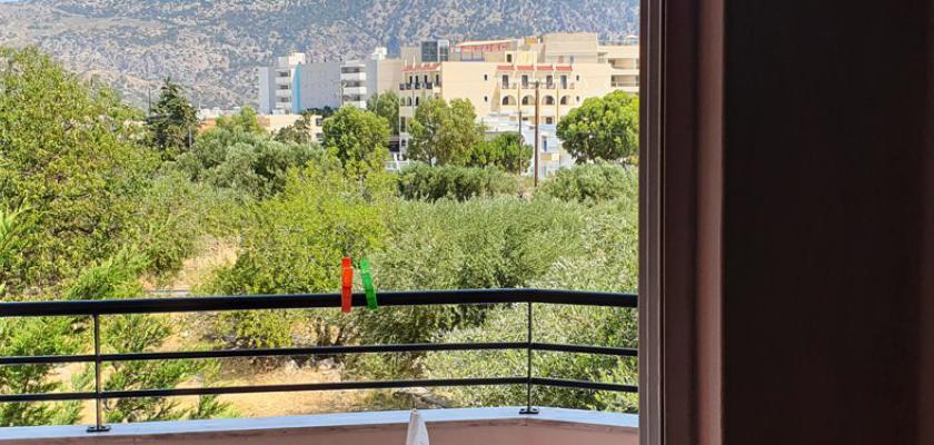 Grecia, Pigadia - Ladis Hotel E Appartamenti 4